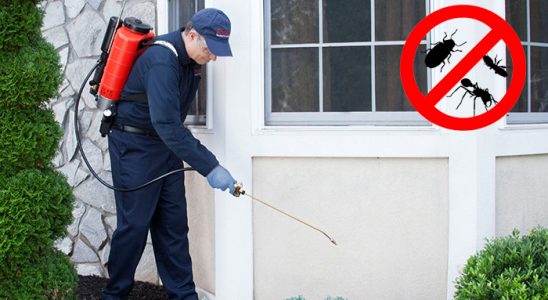 Mihalgazi Hamam Böceği İlaçlama böcek ilaçlama ve haşere kontrolü — ilaclama-tr.com